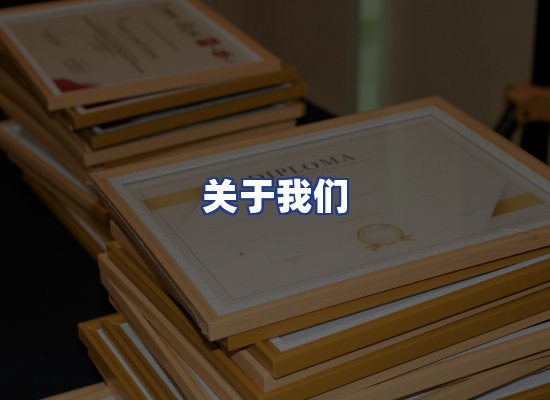 专业团队